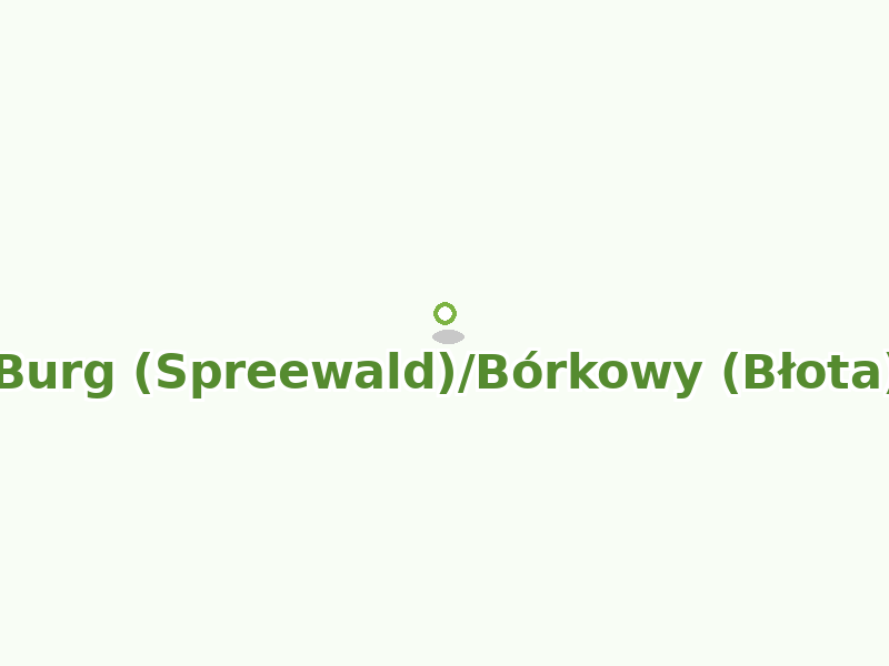 Karte von Burg (Spreewald)/Bórkowy (Błota)